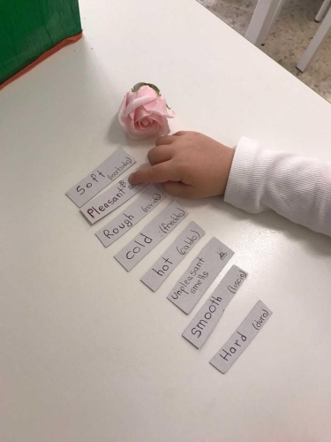 Progetto: La scatola sensoriale - Prima Primaria