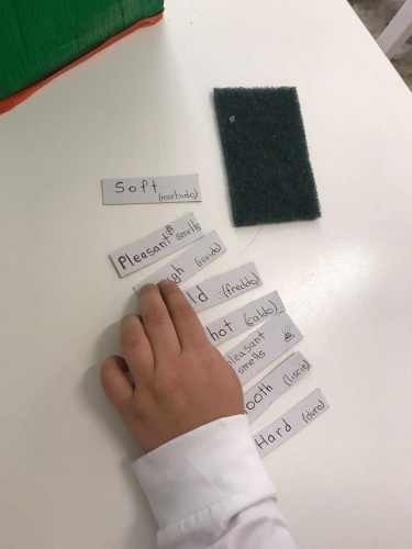 Progetto: La scatola sensoriale - Prima Primaria