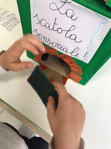Progetto: La scatola sensoriale - Prima Primaria