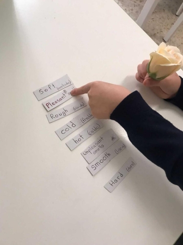 Progetto: La scatola sensoriale - Prima Primaria