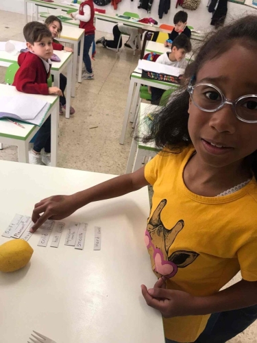 Progetto: La scatola sensoriale - Prima Primaria