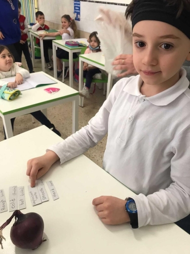 Progetto: La scatola sensoriale - Prima Primaria