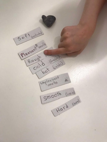 Progetto: La scatola sensoriale - Prima Primaria