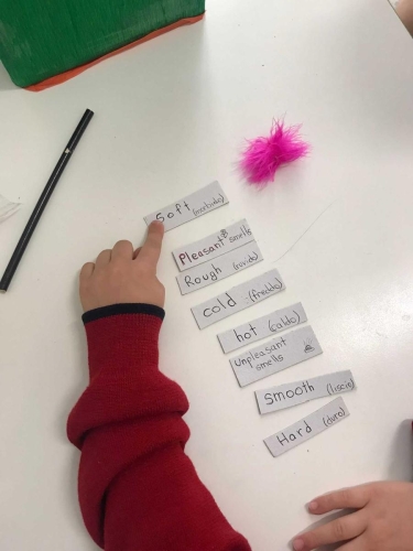 Progetto: La scatola sensoriale - Prima Primaria