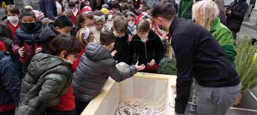 Progetto Green care istituto il nuovo bianchi 011 11 11zon