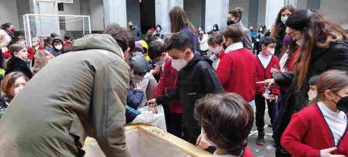 Progetto Green care istituto il nuovo bianchi 015 15 11zon
