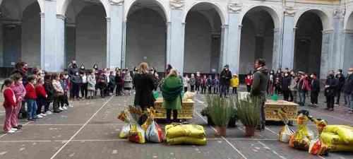 Progetto Green care istituto il nuovo bianchi 024 11zon