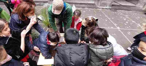Progetto Green care istituto il nuovo bianchi 05 5 11zon