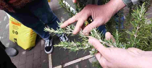 Progetto Green care istituto il nuovo bianchi 07 7 11zon