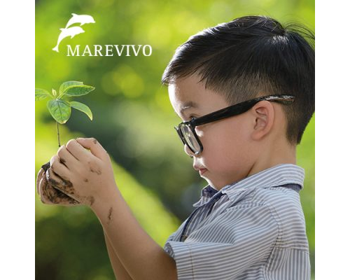 Educazione ambientale con Fondazione ETS Marevivo